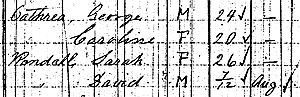 [1881 Census]